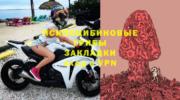 марки lsd Абаза